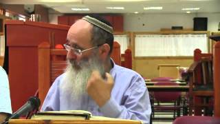 פרשת מטות | בעניין המלחמה בישראל ובעמים – הרב אורי שרקי