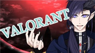 【Valorant】🔰とりあえず配信しとこか
