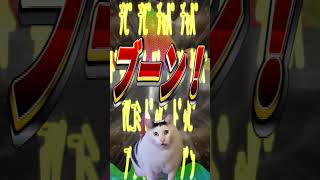 - だんだんアホになる 猫ミーム 歌ってみた 【チピ チピ チャパ チャパ】【猫ミーム】#Shorts