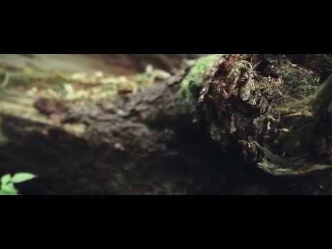 BONUS SUICIDE Sancellation