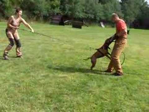 Aranka obrany 14.6.2008