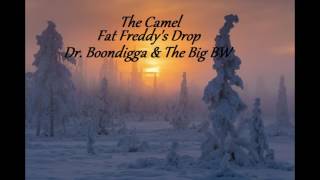 Fat Freddy's Drop - The Camel