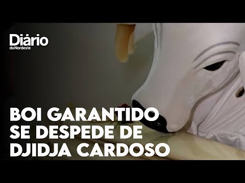 Boi Garantido se despede de Djidja Cardoso, ex-sinhazinha que morreu em Manaus 