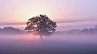 The Wonder of It All 1 Hour | Point of Grace