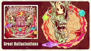 Great Hallucinations Music Video