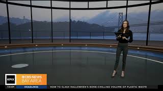 Zoe Mintz 11/02/2024 CBS Bay Area