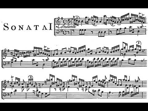 8 Harpsichord Sonatas Op.1 By Domenico Alberti (with Score)
