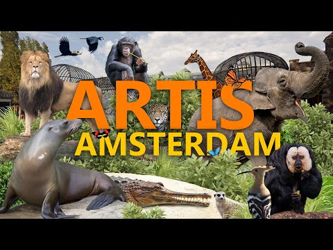 Artis Amsterdam: Wunderschön historisch oder überholt? | Zoo-Eindruck