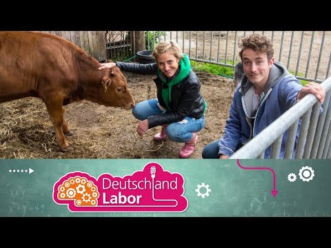 Deutsch lernen (A2) | Das Deutschlandlabor | Folge 15: Bio
