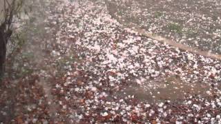 preview picture of video 'Awesome Hail Storm/ Microburst/ Tornado with 2 hail in Glendale/ Phoenix 10/05/2010'