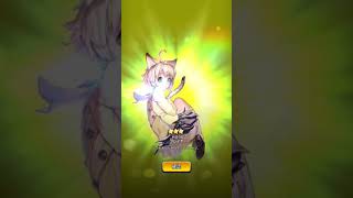 デスティニーチャイルド 猫が当たった(*☻-☻*)