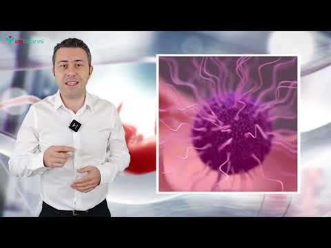 İnfertilite Nedir? Nasıl Tedavi Edilir?