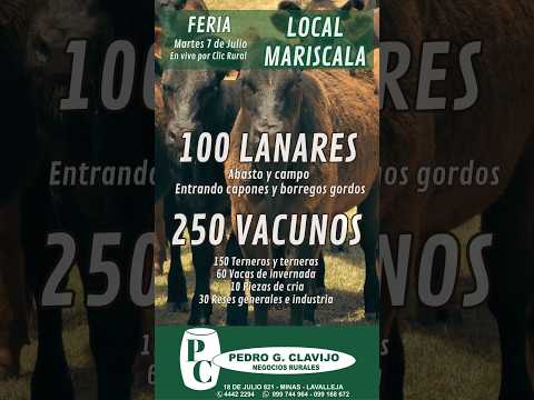 07/07/2026 Feria Mensual - Local Mariscala - Lavalleja - Pedro G. Clavijo