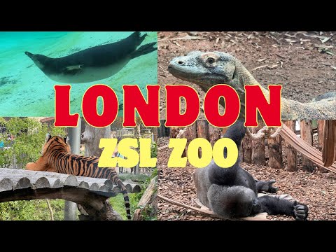 LONDON ZOO Walking Tour 2023 - England (4K)