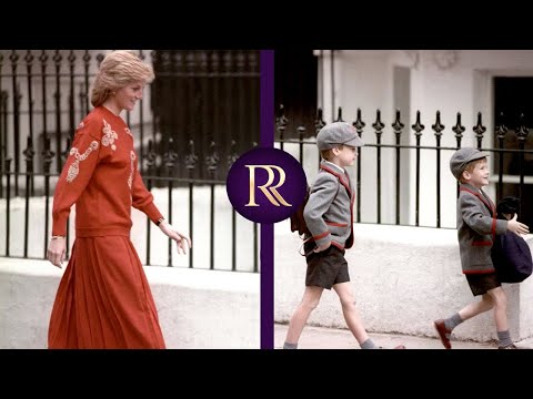 Harry and William - The Story of Two Brothers
