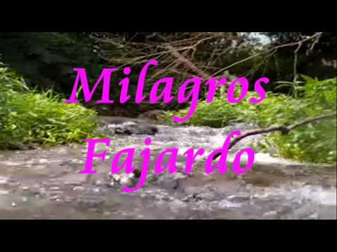 Examíname Oh Dios! - DEVOCIONAL - Milagros Fajardo.