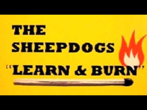The Sheepdogs - Catfish 2 Boogaloo