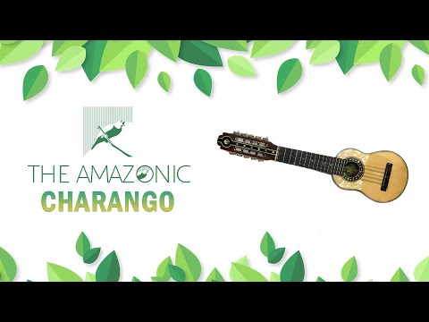 AMA I - Charango