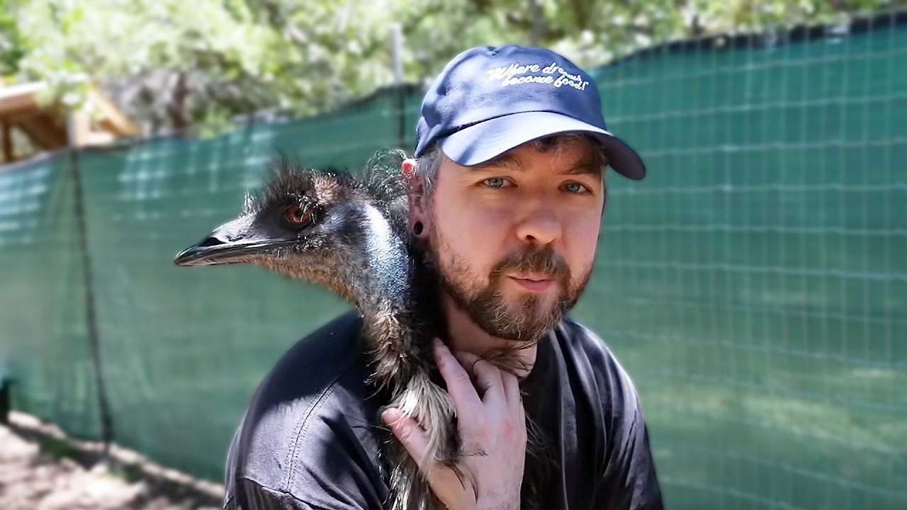 Jacksepticeye Visits Alveus Sanctuary