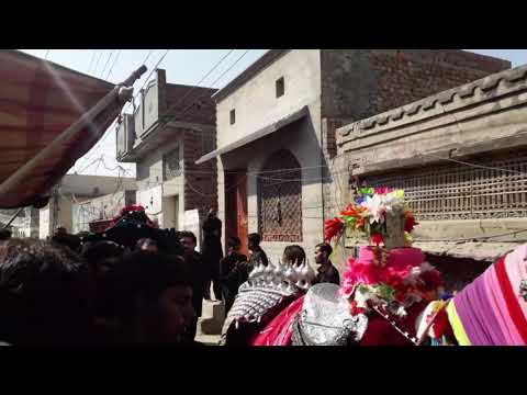 Taboot Imam Hassan a.s 28 Safar 1442 | 2020 At Ali Pur Syedan