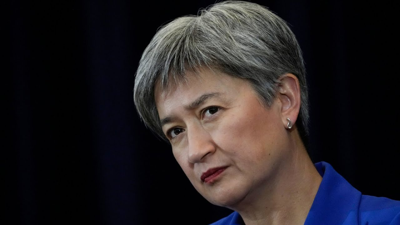 ‘She insulted them’: Dave Sharma blasts Penny Wong over Israel response