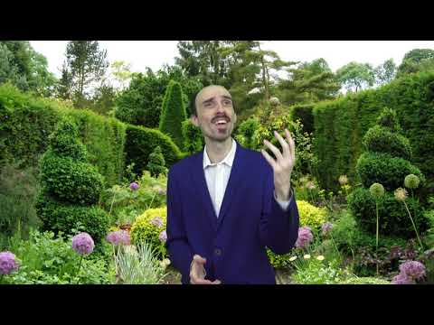 DJ M´Sy Feat. Rui Michael - Renascer - ( Videoclip Oficial ) - 2019