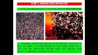 How to make sprouted brown rice (ver  Feb 2017)