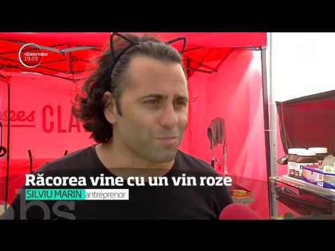 ele mai bune crame româneşti şi-au dat întâlnire la iarbă verde, în Capitală