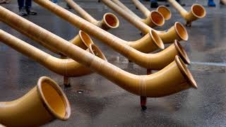 Herb Alpert - Rise (instrumental backing track)