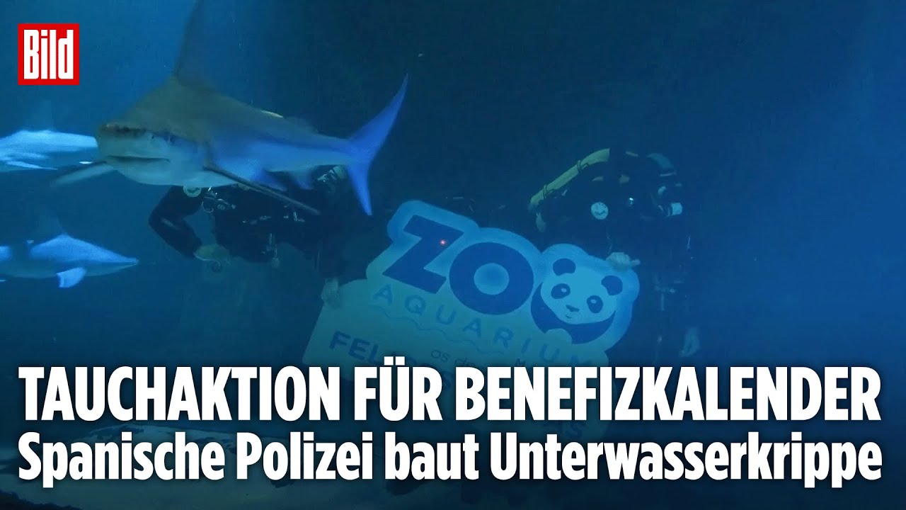 SPEKTAKULÄRER EINSATZ: Polizei baut Unterwasserkrippe zwischen Haien in Madrid
