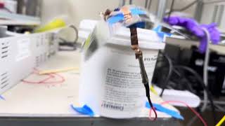 Piezo PVDF Butterfly 5 Hz, Unimorph, PolyK USA