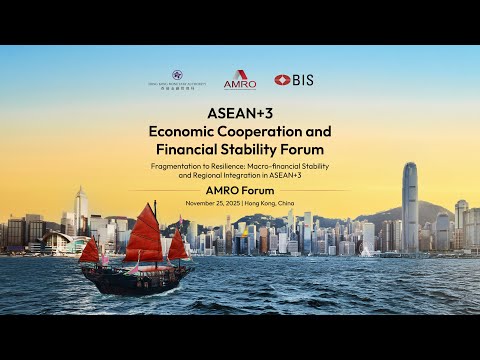 4th ASEAN+3 Economic Cooperation and Financial Stability Forum (AMRO Forum)