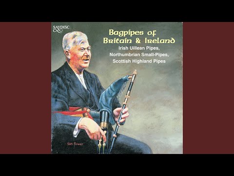 Maidrin Rua / The Little Red Fox