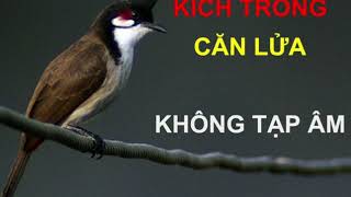 CHÀO MÀO MÁI KÍCH TRỐNG CĂN LỬA CỰC NHANH KHÔNG TẠP ÂM CHÀO MÀO MÁI KÍCH TRỐNG CĂN LỬA CỰC NHANH KHÔNG TẠP ÂM