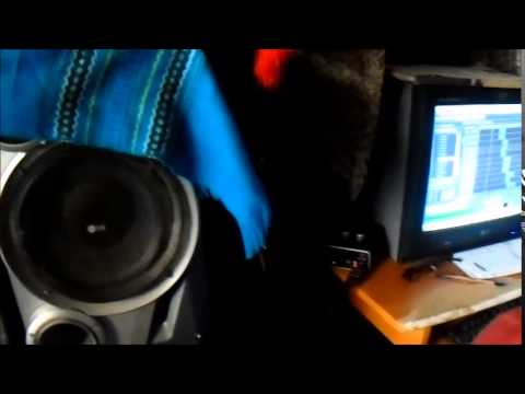 "NO SE ME OLVIDA"     PINCHORAP   FAT  REAL VOCETO +PREVIA