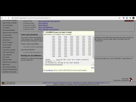 Membrane Builder Tutorial using CHARMM-GUI - Human ACE2 Protein