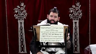 זבחים דף צ' ע"ב ¤ הרב נתנאל אברז'ל ¤ בית הכנסת "בית מרדכי" (מוסדות תורת דוד) - התמונה מוצגת ישירות מתוך אתר האינטרנט יוטיוב. זכויות היוצרים בתמונה שייכות ליוצרה. קישור קרדיט למקור התוכן נמצא בתוך דף הסרטון