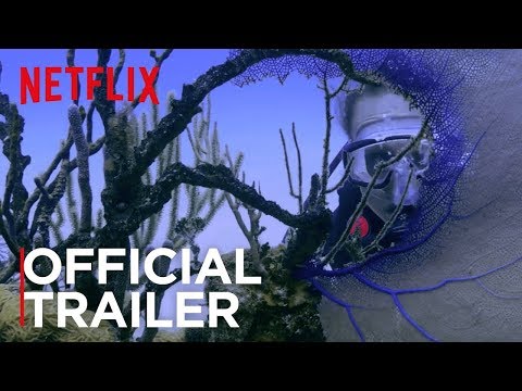 Chasing Coral (Trailer)