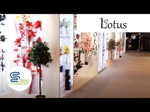 Lotus Imports - Customer Success Story (Leah Yahya - Lotus Imports)