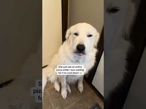 Do you think she’s guilty? 😂