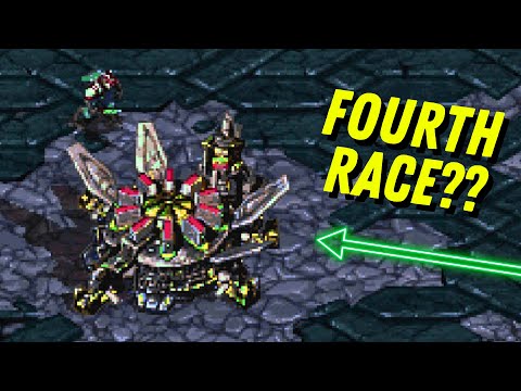 Brood War Has a FOURTH Race?! Meet the Askosi! (Modded Cast)