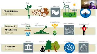 Las ventajas de la utilización jurídica de una taxonomía común de los beneficios de los ecosistemas