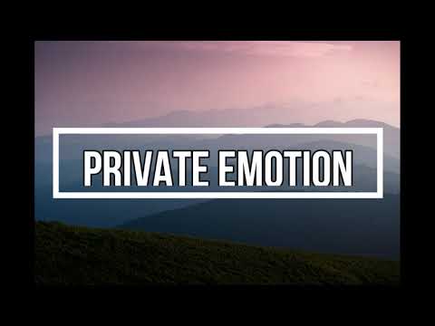 Private Emotion - Ricky Martin