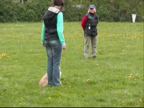 Shannon poslušnost 2.5.2010