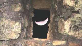 Restless Situations - John Trudell/Jesse Ed Davis