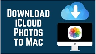How to Download iCloud Photos to Mac in 2 Easy Ways