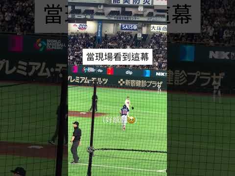 WBC對戰韓國，現場看到這幕好感動🥹