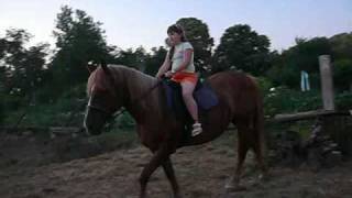 preview picture of video 'HatosR&Sári horse'