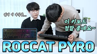 퀘이사존