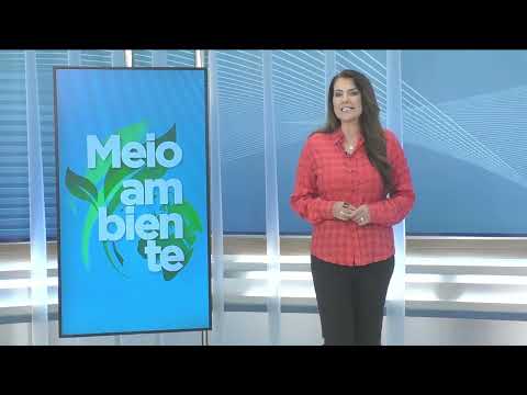 CNT Notícias de 13/08/2026 na Íntegra